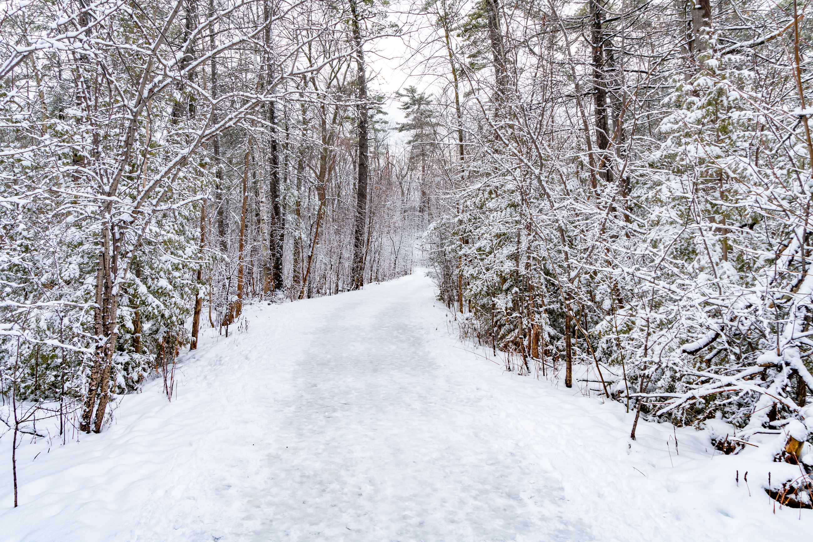 iStock-wintry trail
