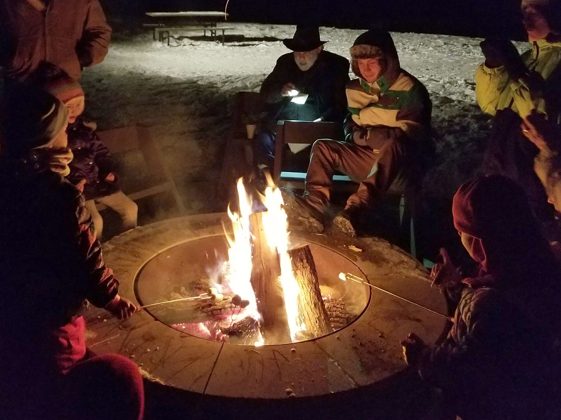 Wild Winter Night Campfire
