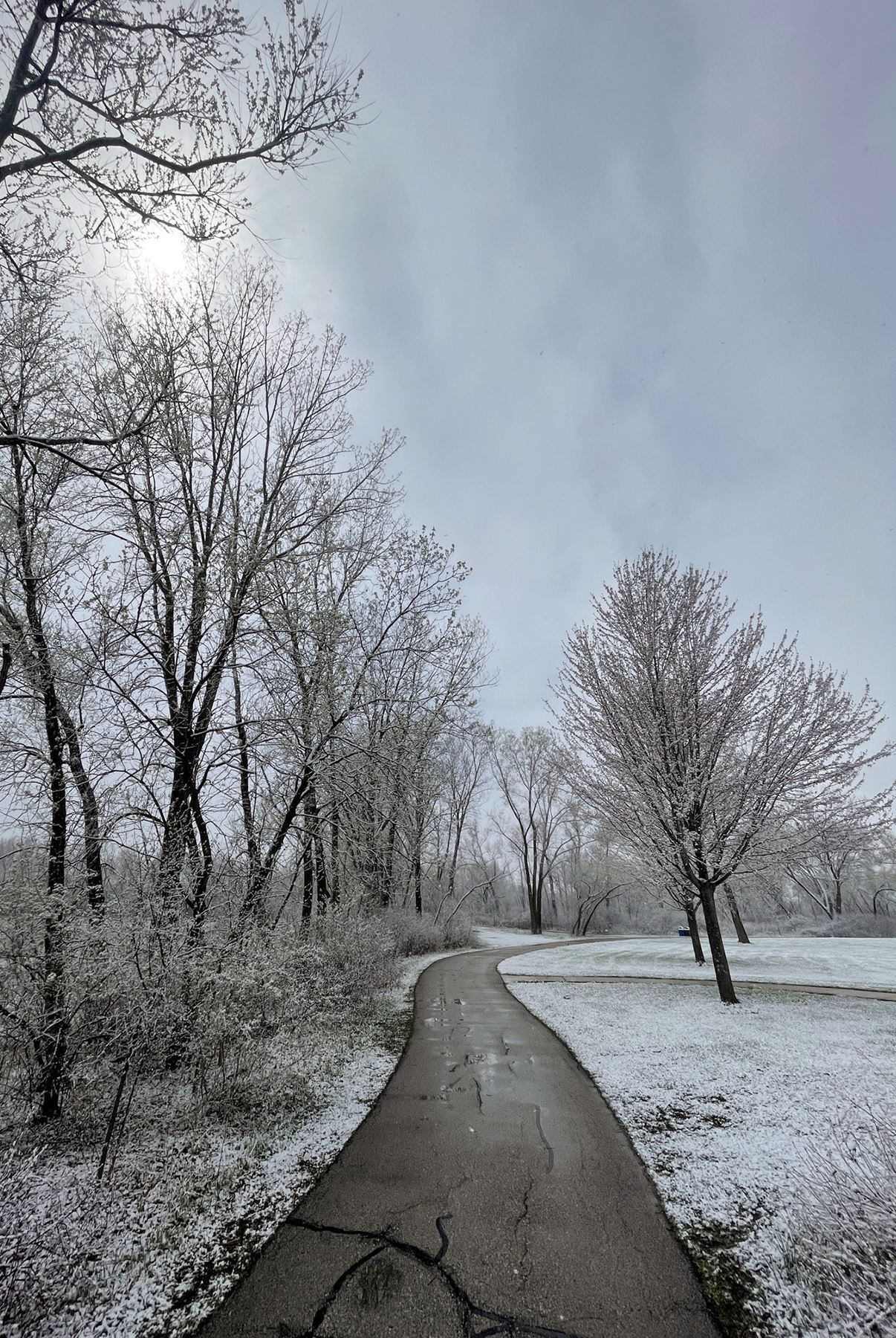 Fox Brook Park Winter Trail