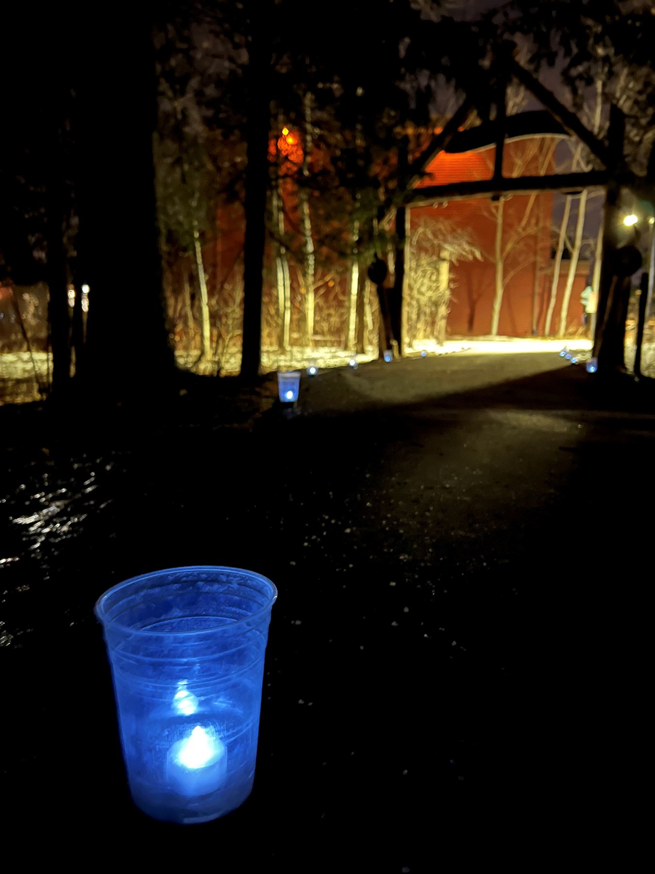 Wild Winter Night Retzer Trail