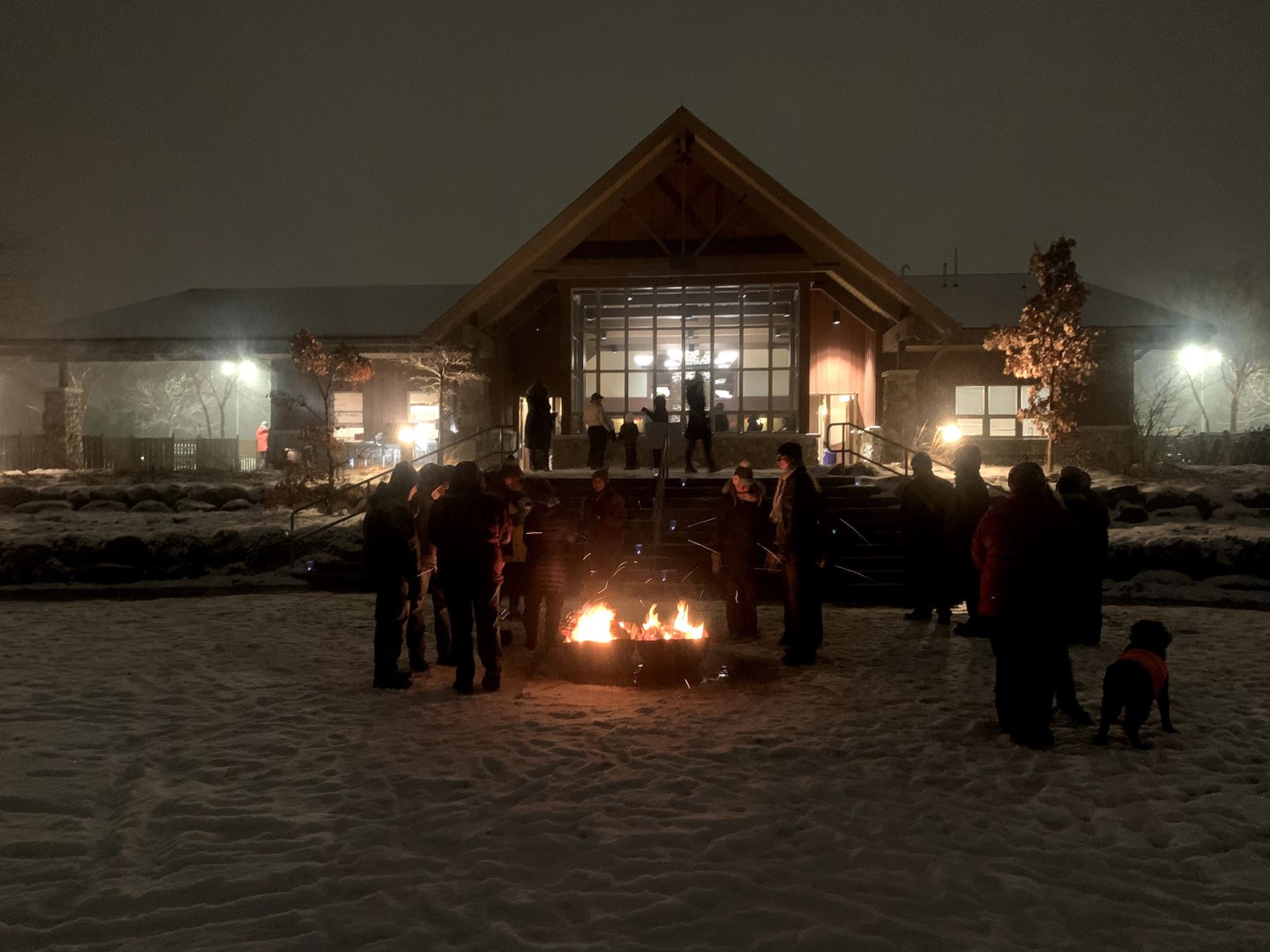 Wild Winter Night Fox Brook Park Bonfire